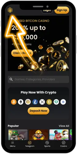 Visit the official casino